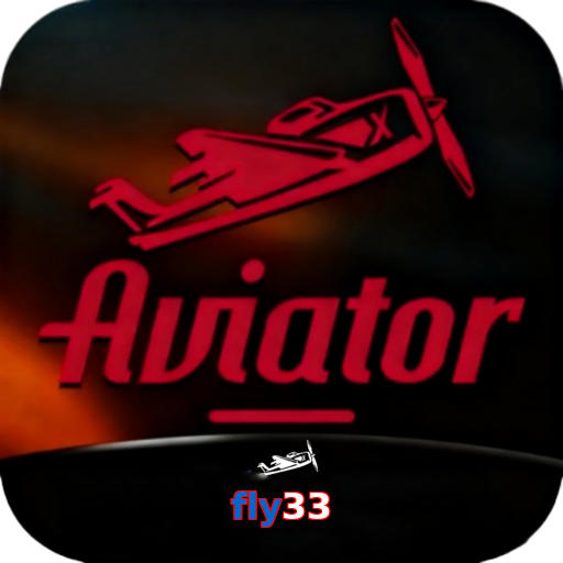 Fly33